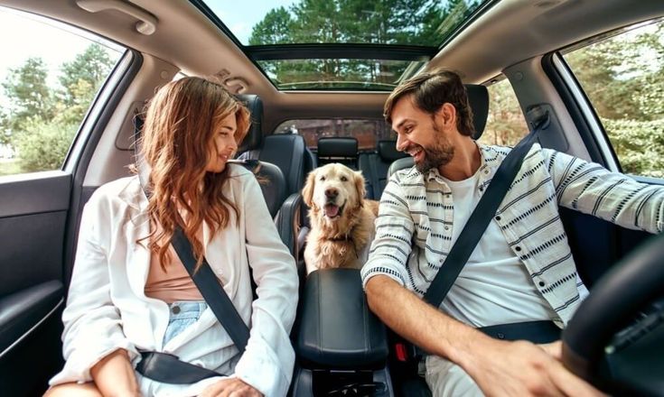 Viajes compartidos Argentina: comparativa Viatik vs BlaBlaCar 2026